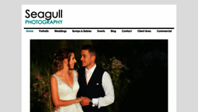 What Seagullphotography.co.uk website looked like in 2019 (4 years ago)