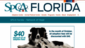 What Spcaflorida.org website looked like in 2019 (4 years ago)