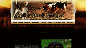What Springcreekbeagles.com website looked like in 2019 (4 years ago)