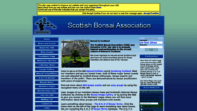 What Scottishbonsai.org website looked like in 2019 (4 years ago)