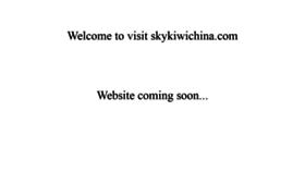 What Skykiwichina.com website looked like in 2019 (4 years ago)
