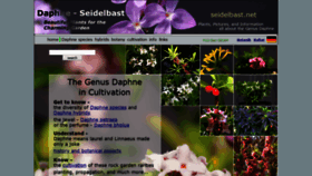 What Seidelbast.net website looked like in 2019 (4 years ago)