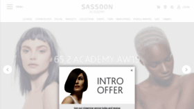 What Sassoon-academy.com website looked like in 2019 (4 years ago)