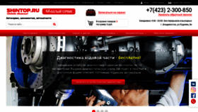 What Shintop.ru website looked like in 2019 (4 years ago)