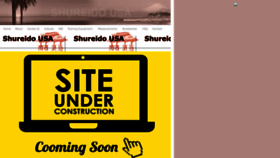 What Shureidousa.com website looked like in 2019 (4 years ago)