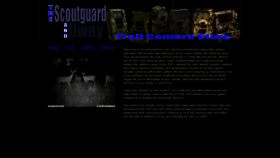 What Scoutguard550.com website looked like in 2019 (4 years ago)