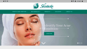 What Skintactix.com website looked like in 2019 (4 years ago)