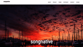 What Songnative.com website looked like in 2019 (4 years ago)