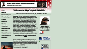 What Skyes-spirit.com website looked like in 2019 (4 years ago)