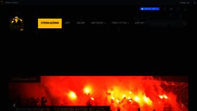 What Stadionowioprawcy.net website looked like in 2019 (4 years ago)