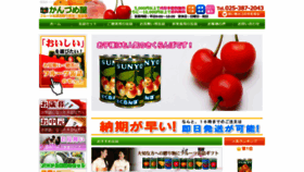 What Shun-fruits.com website looked like in 2019 (4 years ago)
