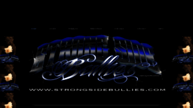 What Strongsidebullies.com website looked like in 2019 (4 years ago)
