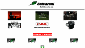 What Salvaranina.com website looked like in 2019 (4 years ago)