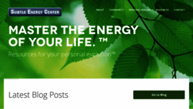 What Subtleenergycenter.com website looked like in 2019 (4 years ago)