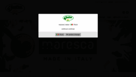 What Saniflex.it website looked like in 2019 (5 years ago)
