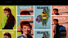 What Seanite.com website looked like in 2019 (4 years ago)