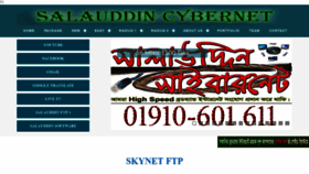 What Salauddincybernet.com website looked like in 2019 (4 years ago)