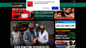 What Sultanhani.gen.tr website looked like in 2019 (4 years ago)