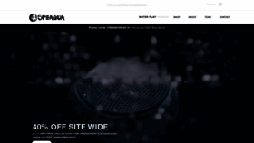 What Speaqua.com website looked like in 2019 (4 years ago)