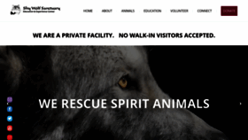 What Shywolfsanctuary.org website looked like in 2019 (4 years ago)