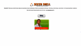 What Sekershell.net website looked like in 2019 (4 years ago)