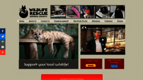 What Scwildliferescue.org website looked like in 2019 (4 years ago)