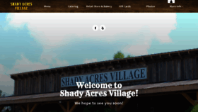 What Shadyacresvillage.com website looked like in 2019 (4 years ago)