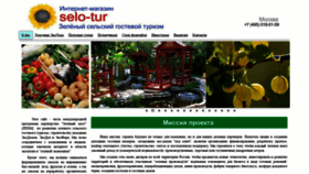 What Selo-tur.ru website looked like in 2019 (4 years ago)