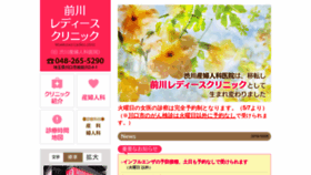 What Shibukawa.org website looked like in 2019 (4 years ago)
