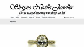 What Shayneneville.co.nz website looked like in 2019 (4 years ago)