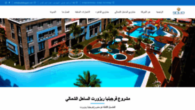 What Solidegypt.net website looked like in 2019 (4 years ago)