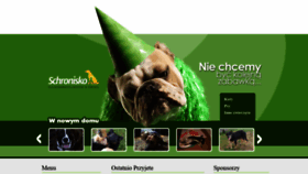 What Schronisko-torun.oinfo.pl website looked like in 2019 (4 years ago)