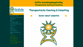 What Solvie.nl website looked like in 2019 (4 years ago)