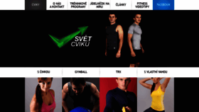 What Svetcviku.cz website looked like in 2019 (4 years ago)