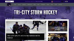 What Stormhockey.com website looked like in 2019 (4 years ago)