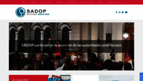 What Sadopentrerios.org website looked like in 2019 (4 years ago)