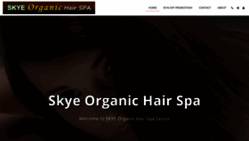 What Skyesalons.com website looked like in 2019 (4 years ago)