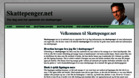 What Skattepenger.net website looked like in 2019 (4 years ago)