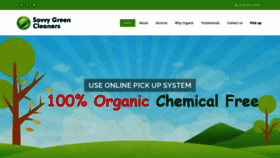 What Savvygreencleaners.com website looked like in 2019 (4 years ago)