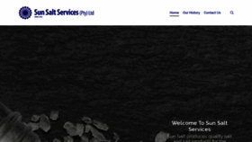 What Sunsaltservices.co.za website looked like in 2019 (4 years ago)