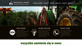What Szkolkabielak.pl website looked like in 2019 (4 years ago)
