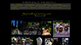 What Skylinedogcarting.com website looked like in 2019 (4 years ago)