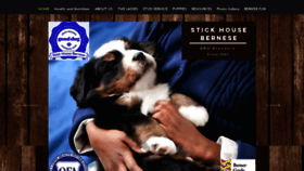What Stickhousebernese.com website looked like in 2019 (4 years ago)