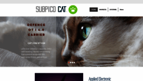 What Subpicocat.com website looked like in 2019 (4 years ago)