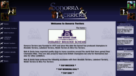 What Sonorra.co.uk website looked like in 2019 (4 years ago)