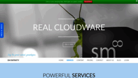 What Sminfinity.com website looked like in 2019 (4 years ago)
