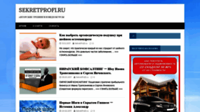 What Sekretprofi.ru website looked like in 2019 (4 years ago)