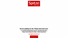 What Spitzebyeveryday.com website looked like in 2019 (4 years ago)