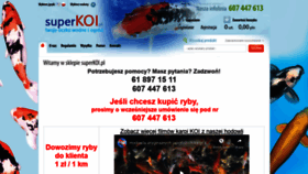 What Superkoi.pl website looked like in 2019 (5 years ago)