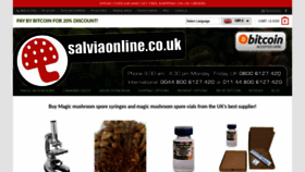 What Salviaonline.co.uk website looked like in 2019 (4 years ago)